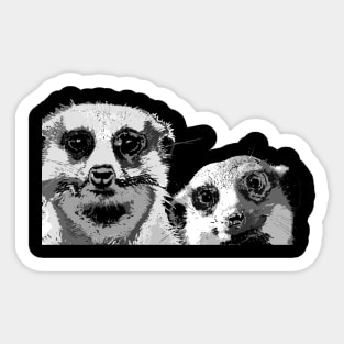 Meerkat Sticker